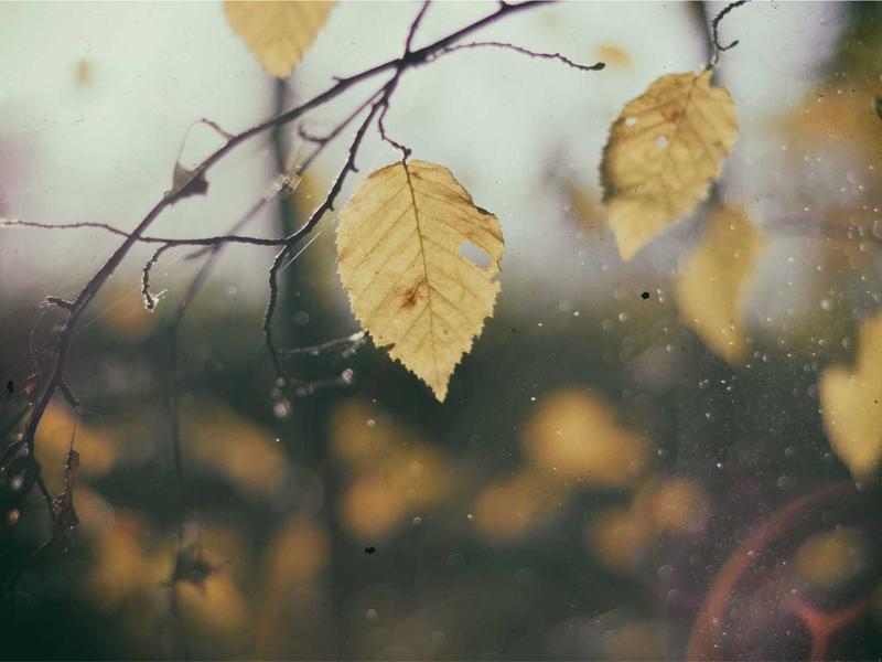 煮雪烹茶<br>qyi4ujty.cn 围炉夜话雅集
